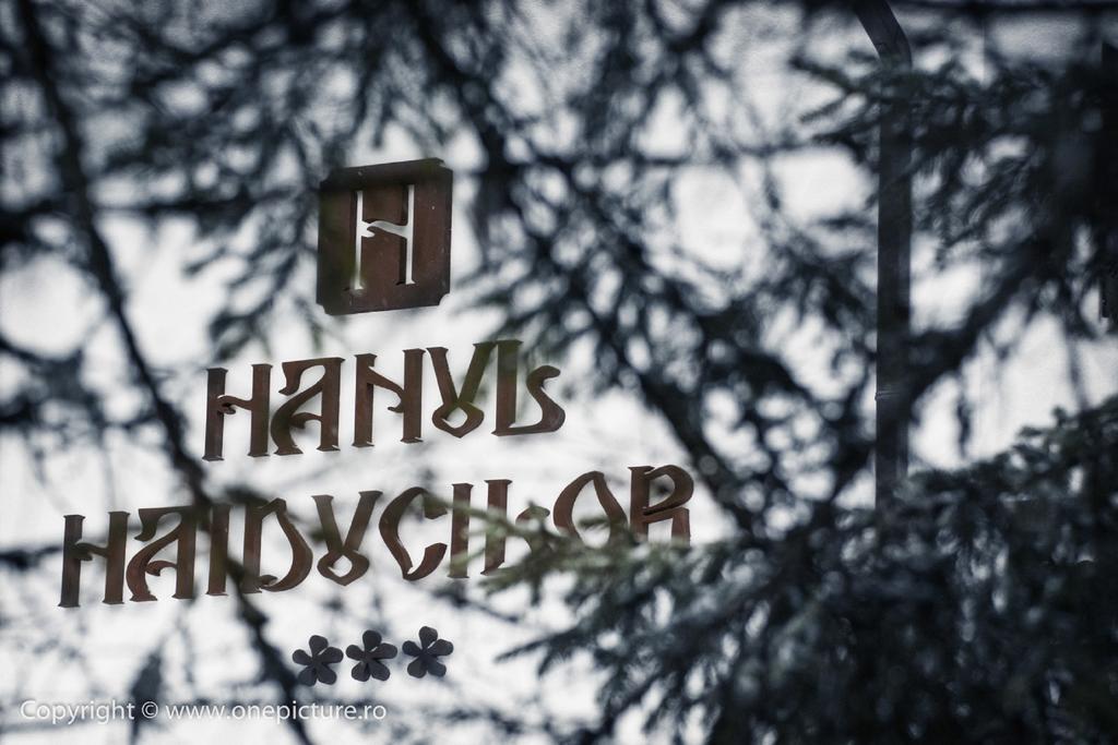 Hanul Haiducilor Obarsia-Lotrului Kamer foto